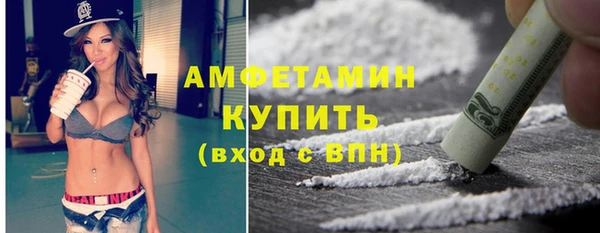 индика Володарск