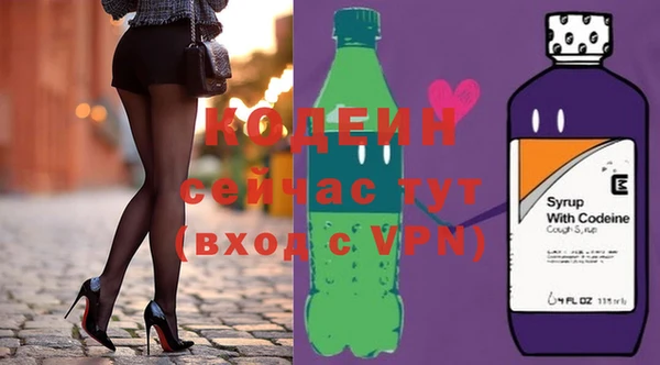 индика Володарск