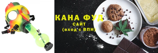 индика Володарск