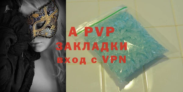 индика Володарск
