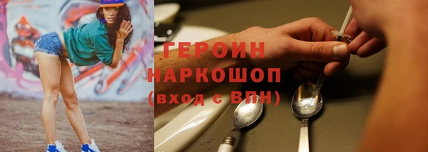 индика Володарск