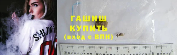 индика Володарск