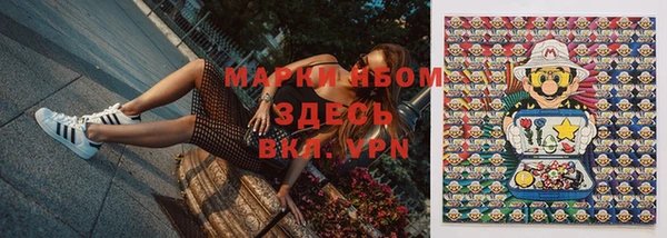 индика Володарск
