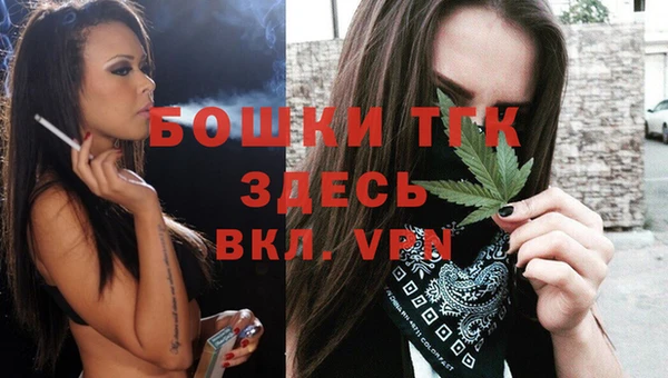 индика Володарск