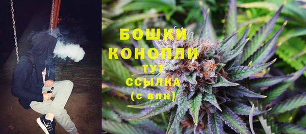 индика Володарск