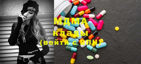 индика Володарск