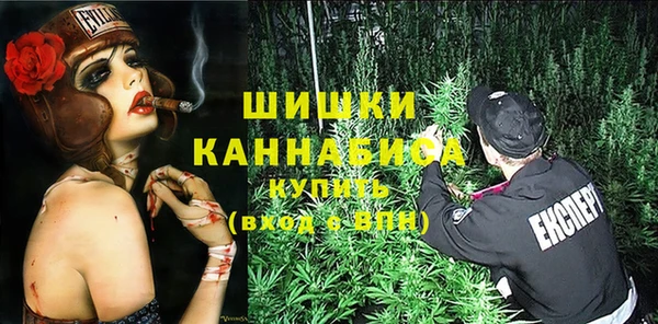 индика Володарск