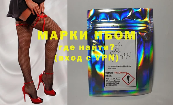 индика Володарск