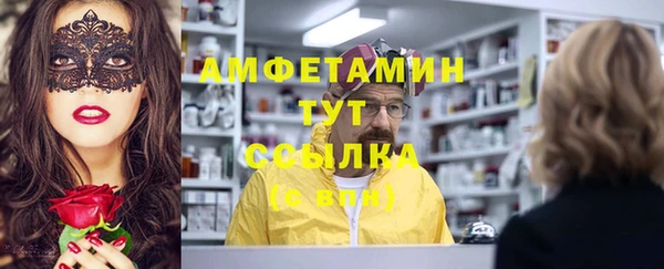индика Володарск