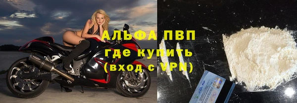 индика Володарск