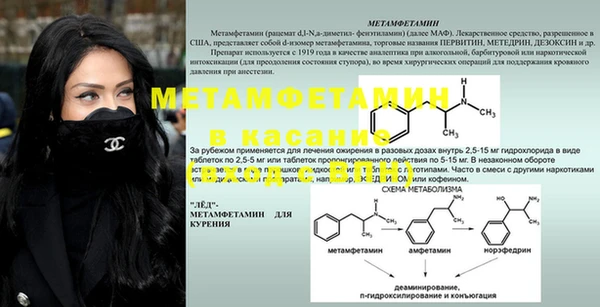 индика Володарск