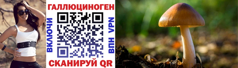 Псилоцибиновые грибы прущие грибы  Абакан 